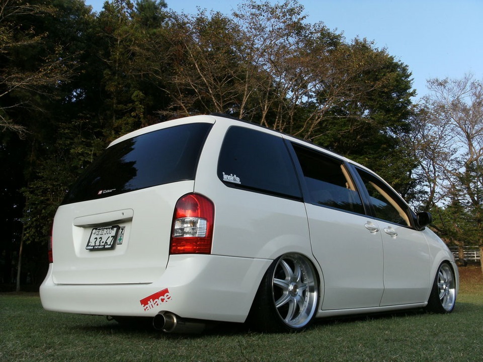 Dodge Caravan стенс