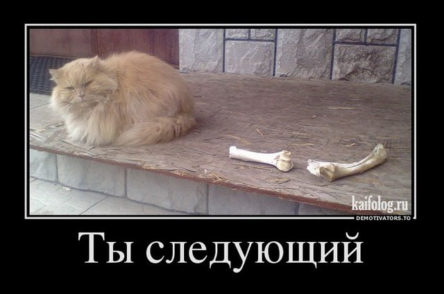 Теперь кто следующий
