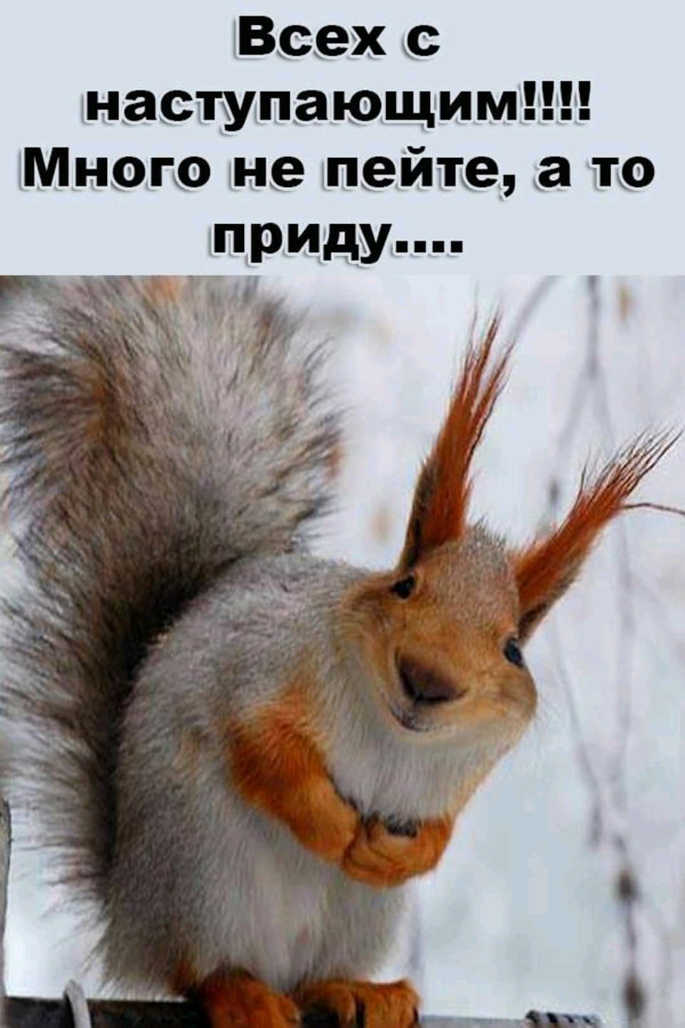 К кому приходит белочка