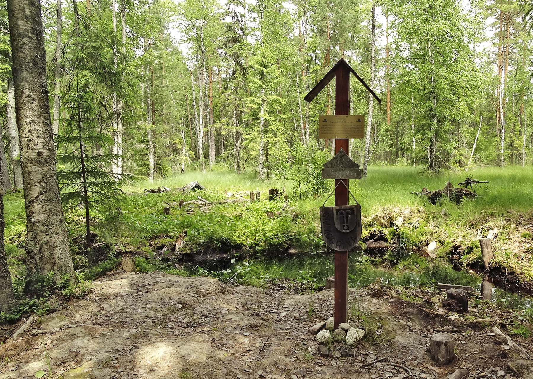 исток реки западная двина