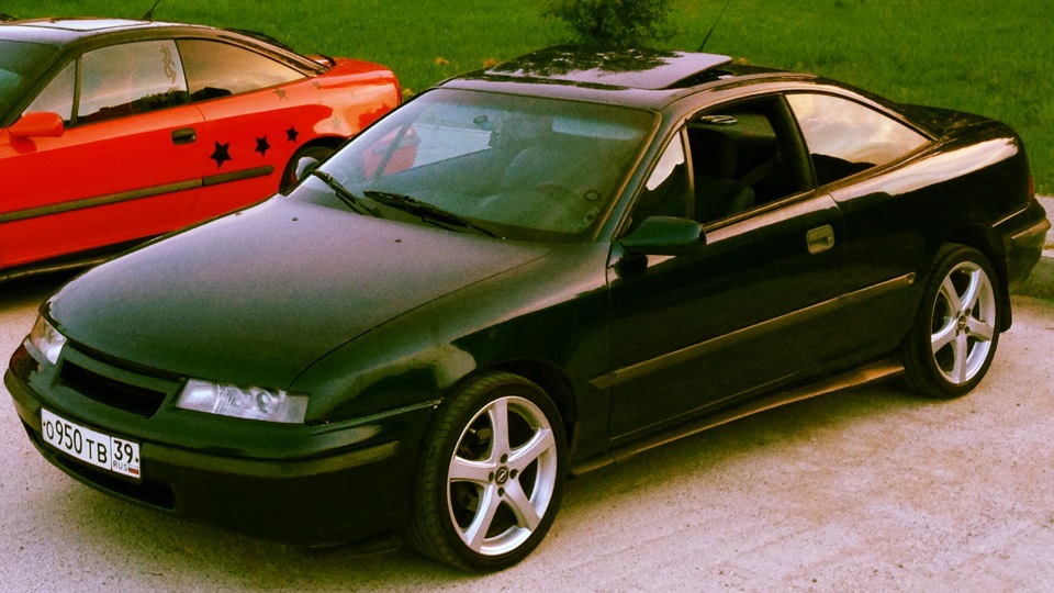 Calibra fine