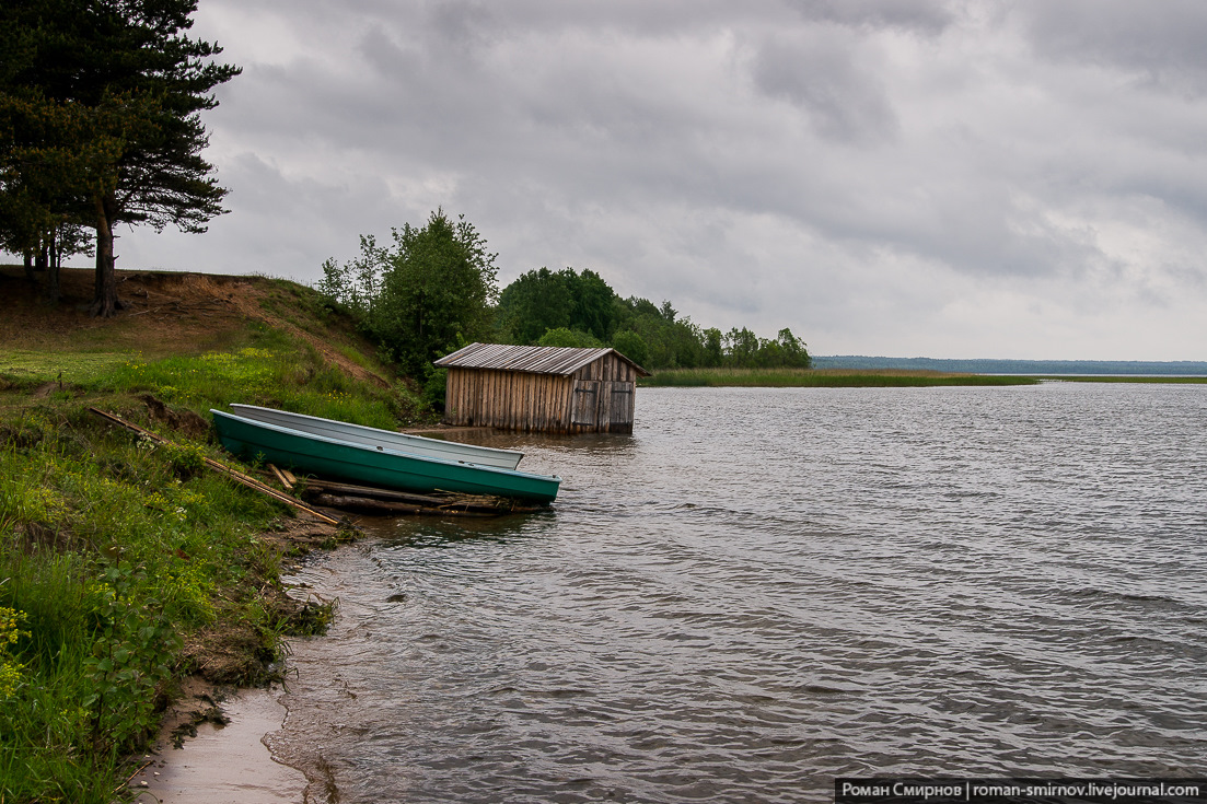 Морская масельга фото