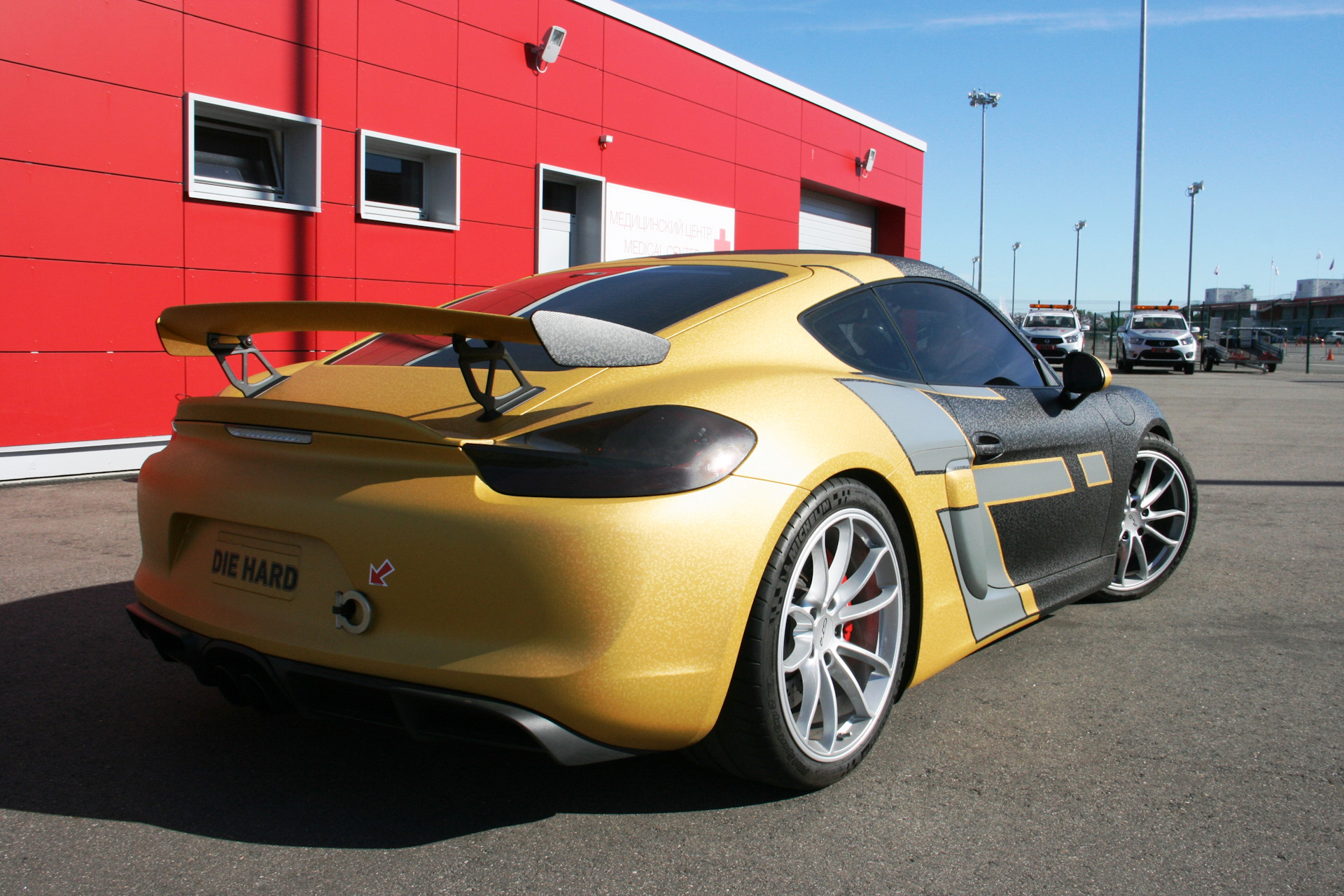 Gt4 ara. Porsche gt4. Porsche Cayman gt4. Porsche Dali. Porsche gt4 2022 Vinyl.