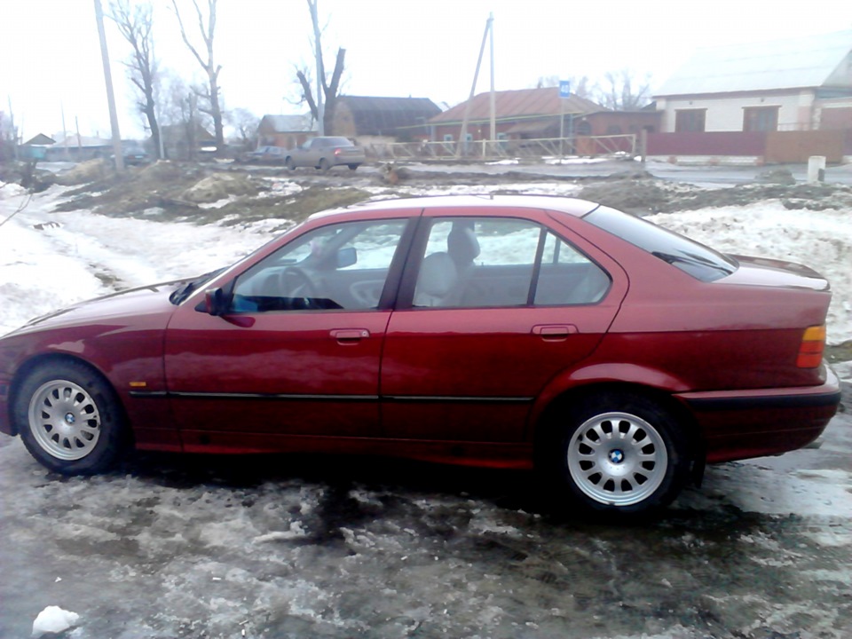 Фото в бортжурнале BMW 3 series (E36)