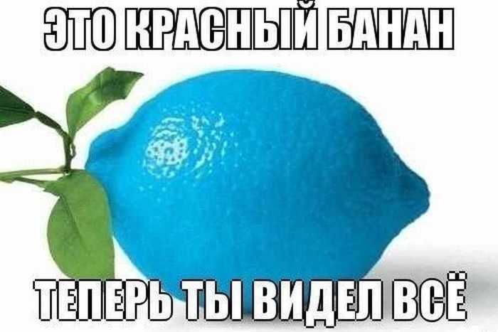 Теперь ты видел все картинки