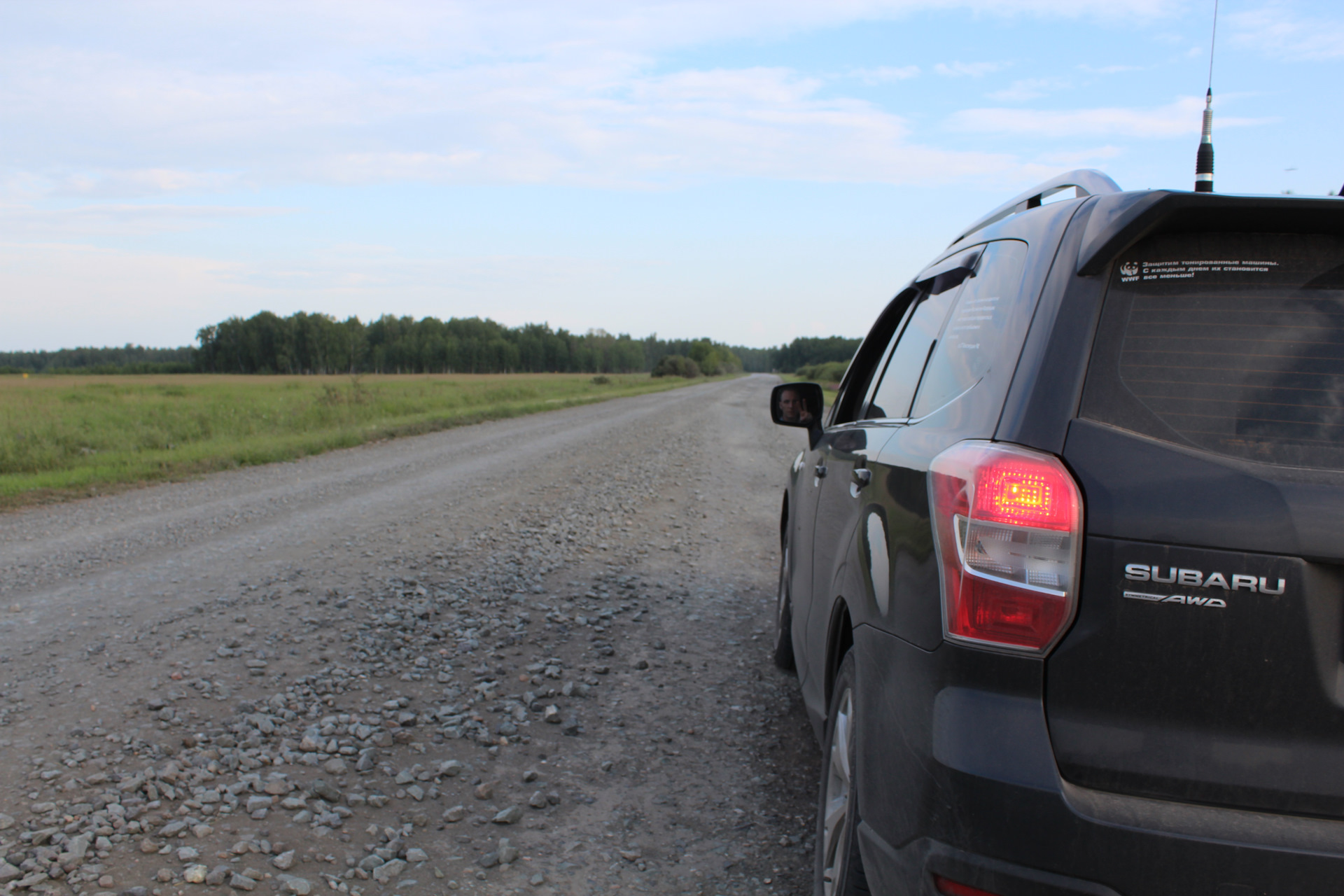 Заметки из Алтайского дневника. часть первая — Subaru Forester (SJ), 2 л,  2013 года | путешествие | DRIVE2