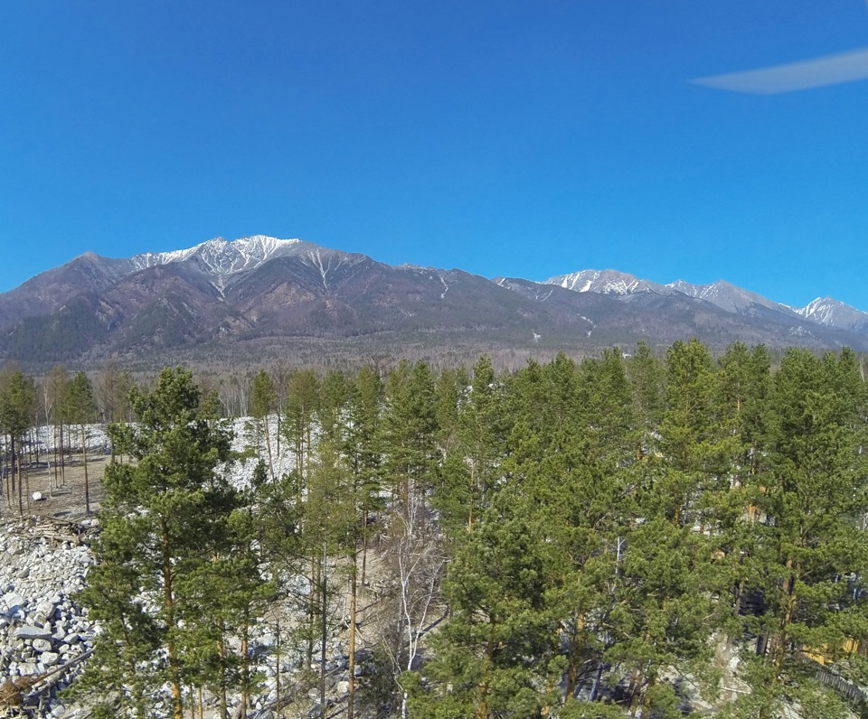 Усадьба сороковиковых аршан фото