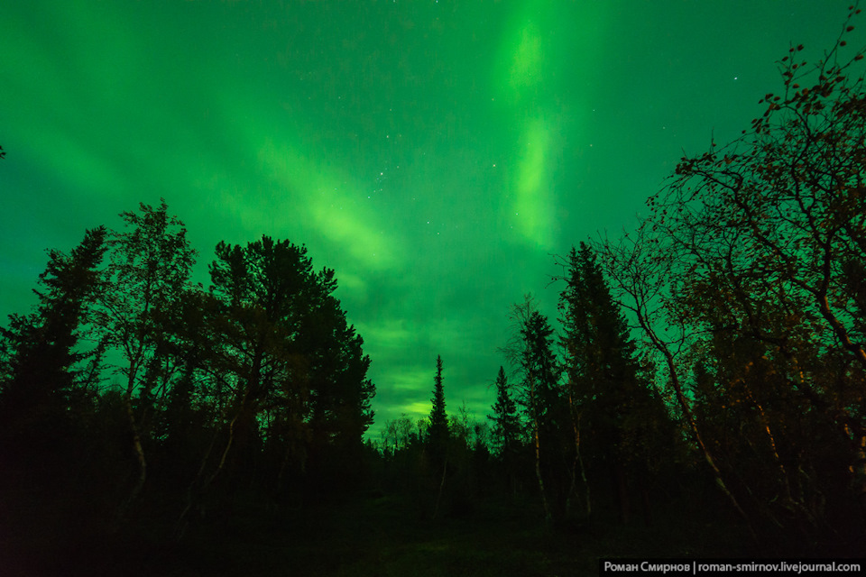 Фото в бортжурнале Chevrolet Niva (1G)