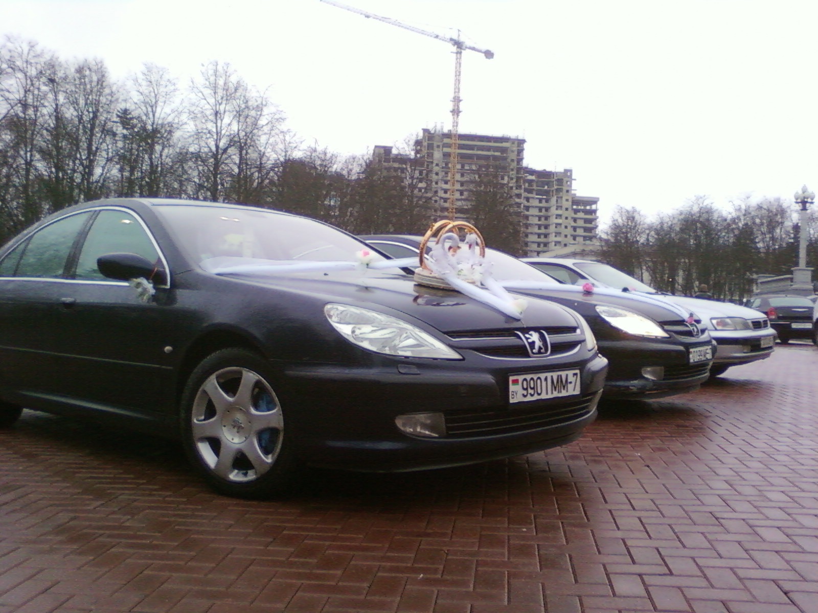Они вместе… — Peugeot 607, 3 л, 2001 года | фотография | DRIVE2
