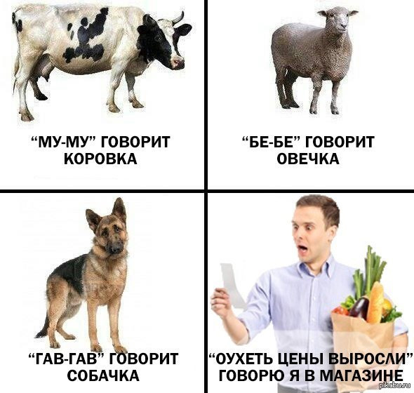 Юлия Витязева: Украина должна послать Трампа, заявил источник The Times в Минобо