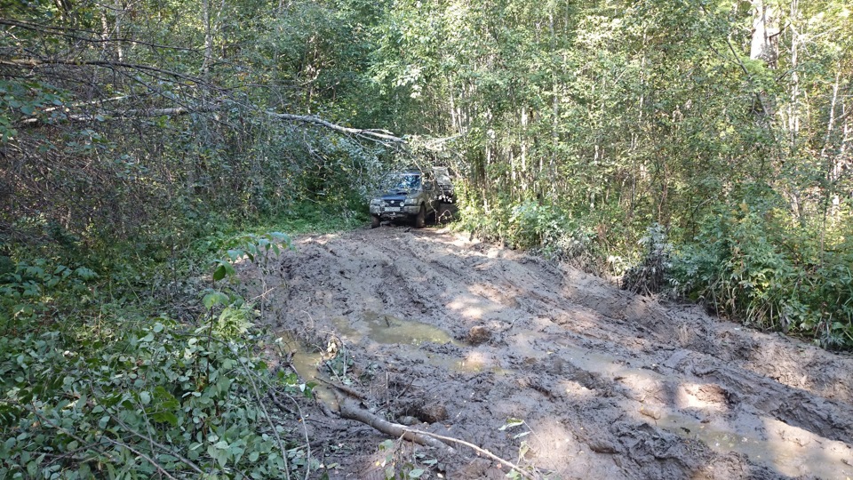 Фото в бортжурнале Toyota Land Cruiser 80