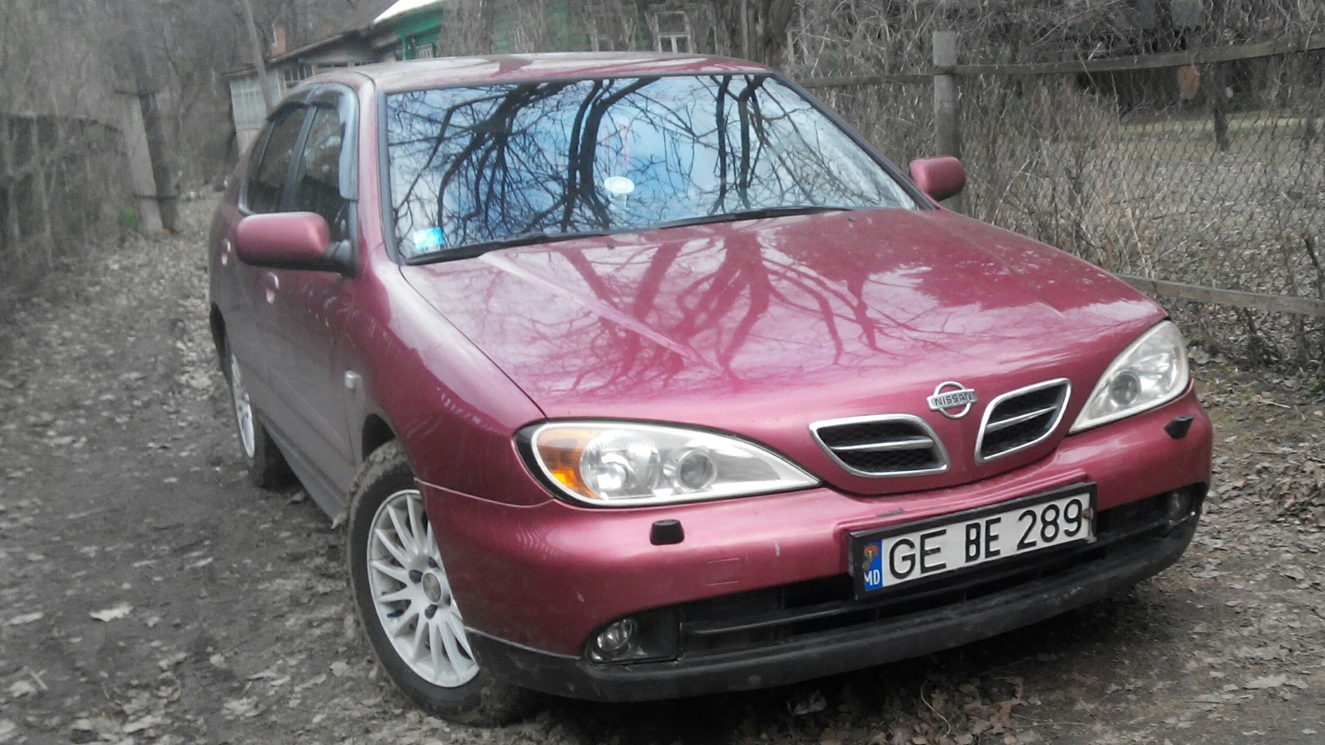 Nissan Primera (P11) 2.0 бензиновый 1999 настало время самурая на DRIVE2