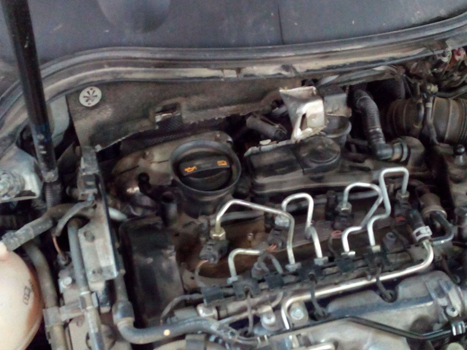 8be8edes 960 Как отшить егр пассат б6