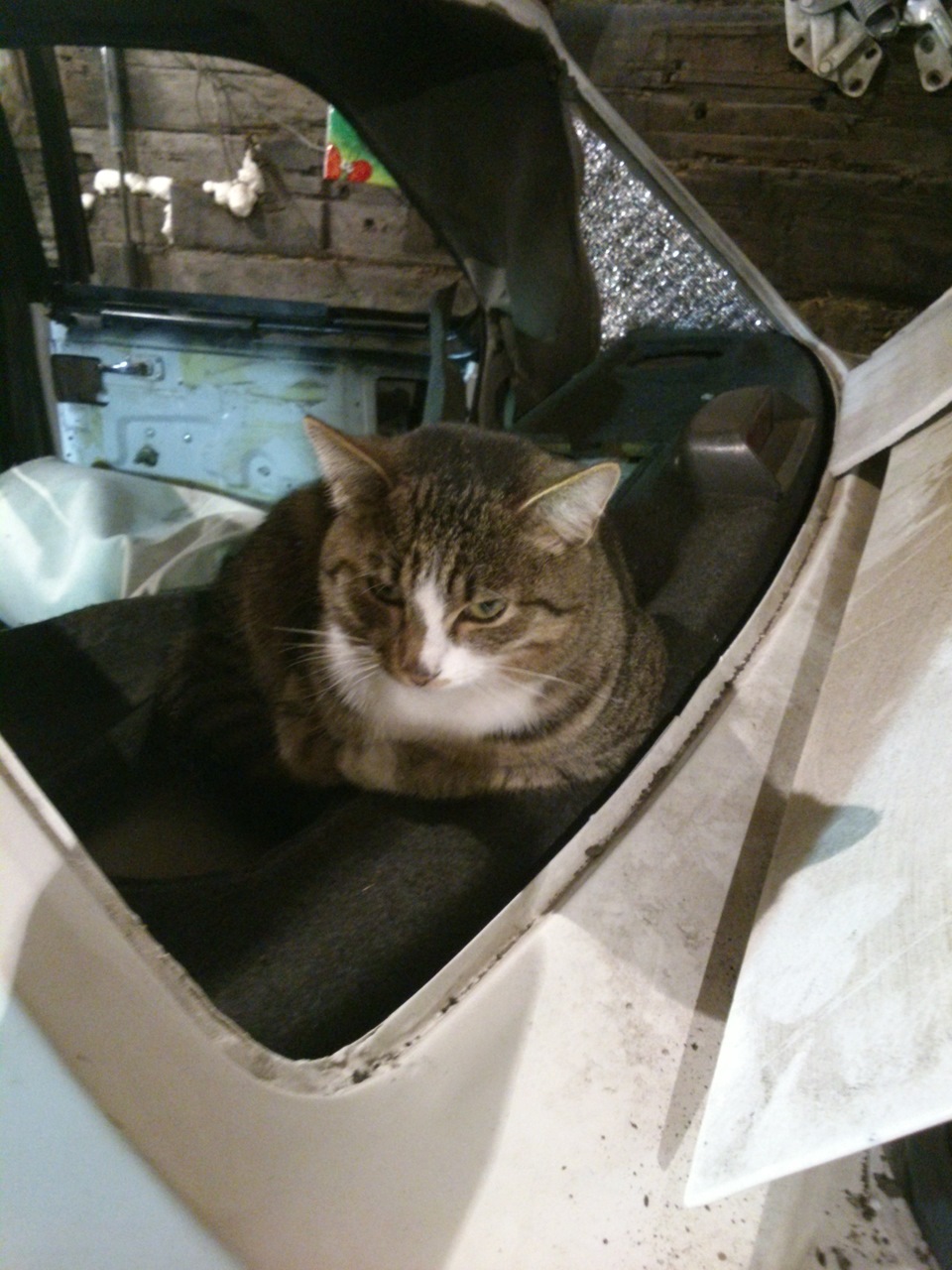 Мозговая проводка ДВС — ГАЗ 31029, 2,4 л, 1995 года | своими руками ...