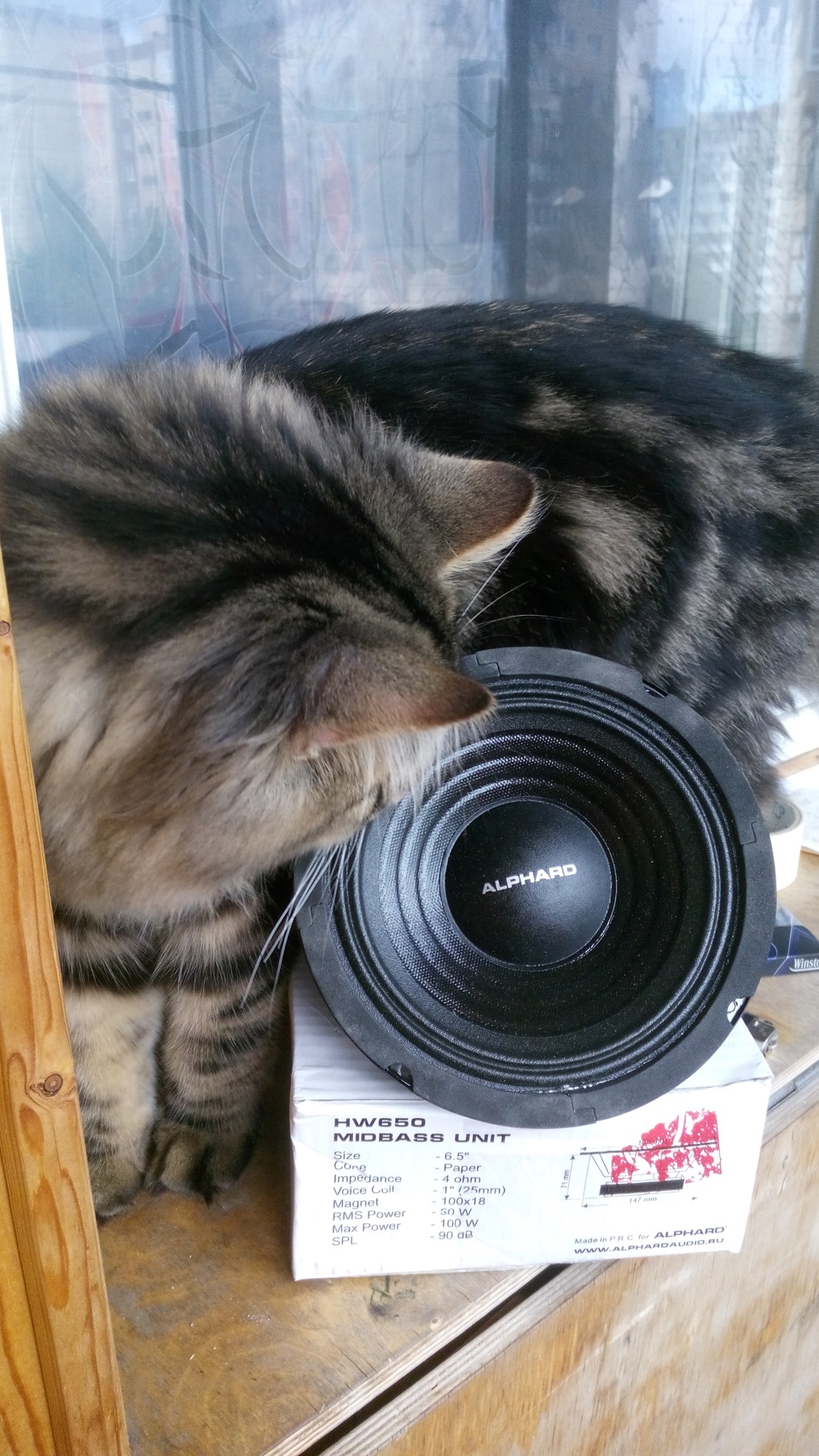 Замена штатных динов на Alphard HW 650 — Volkswagen Passat B5, 1,8 л ...