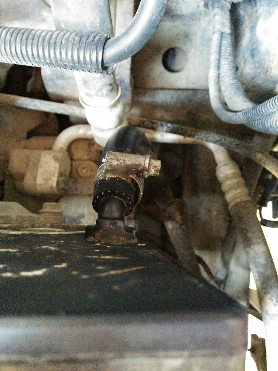 Почистил шланг, чтобы наблюдать за работой крышки — SsangYong Kyron