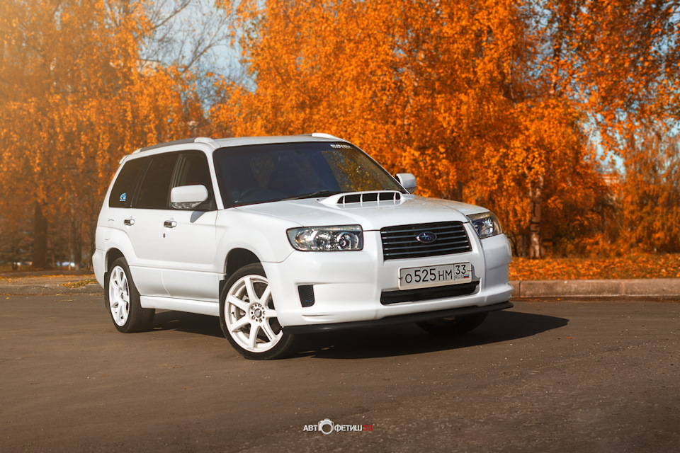 Итоги фотосессии — Subaru Forester (SG), 2 л, 2006 года | фотография ...