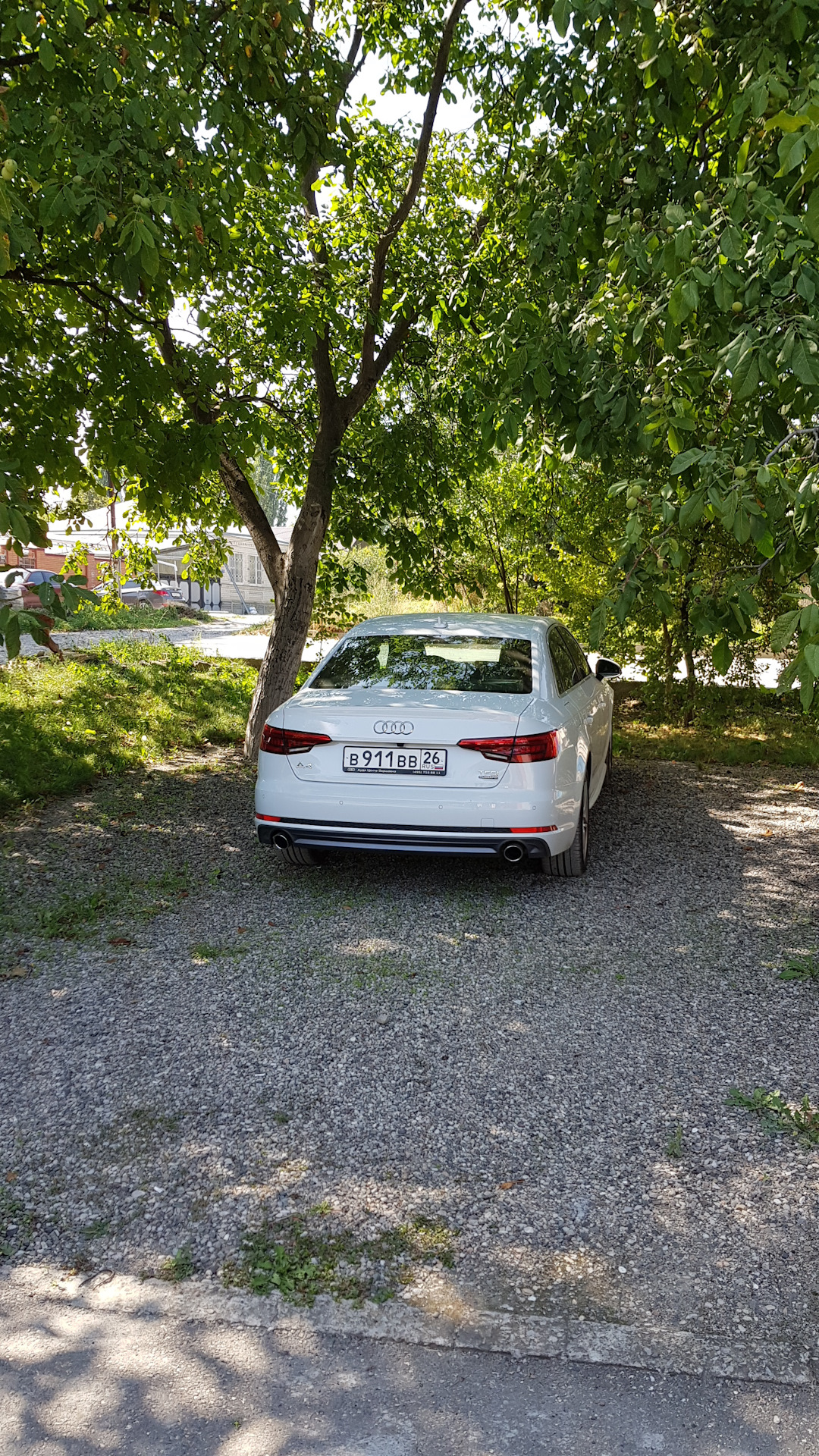 Просто пара фотографий — Audi A4 B9 2 л 2017 года фотография Drive2