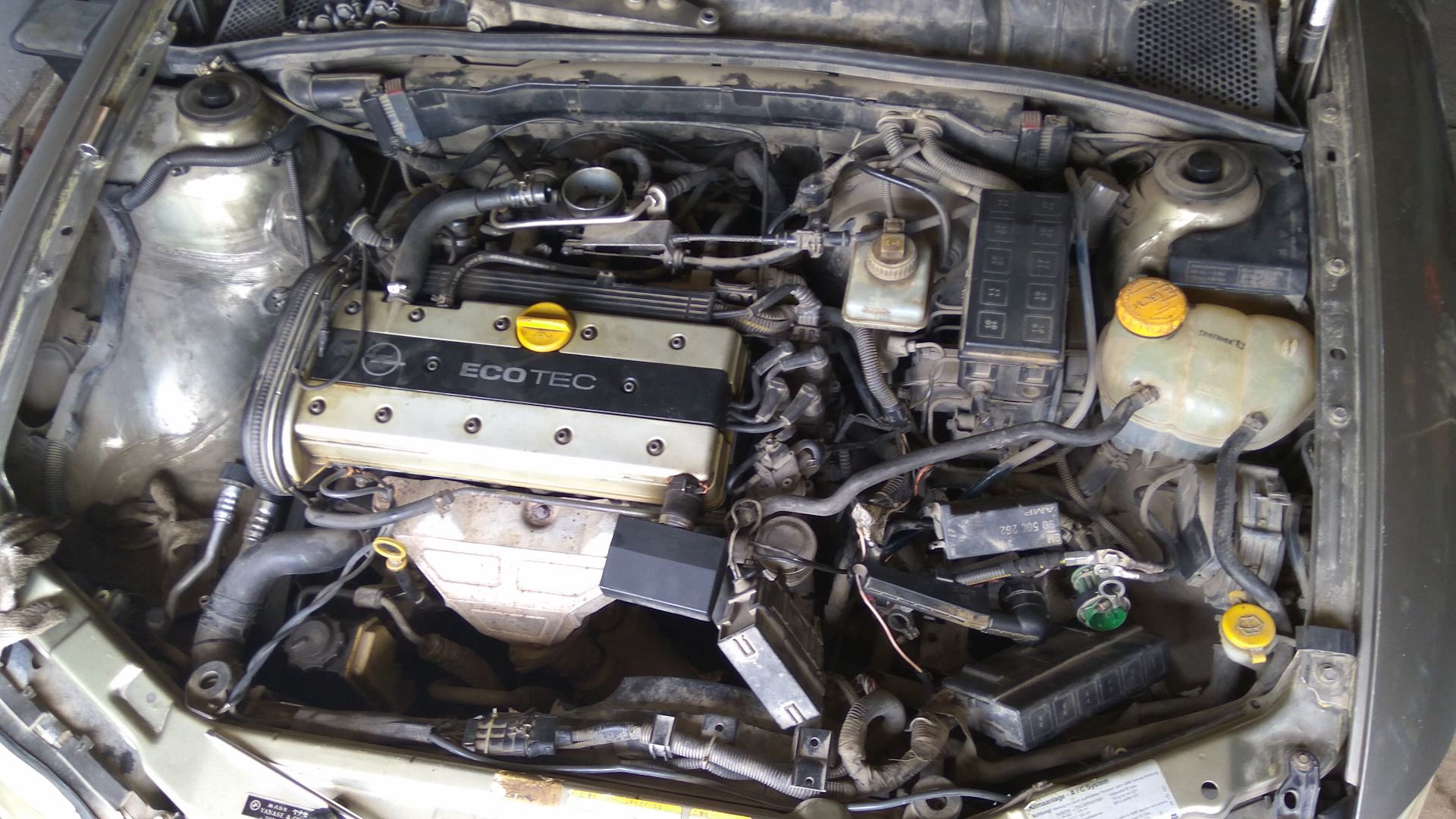 Двигатель опель вектра б 2.0. Opel Vectra 2.0 1998. Opel Vectra b 1998 двигатель. Двигатель Опель Вектра а 2.0. Опель Вектра б 2.0 дизель 1998.