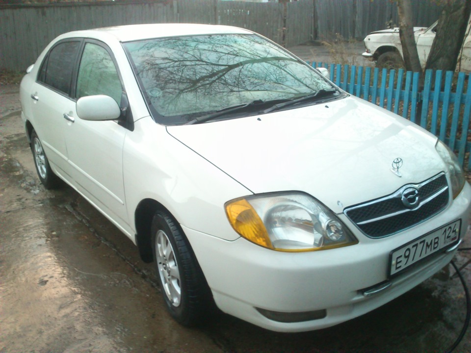 Королла 122 кузов. Тойота Королла 122 кузов. Toyota Corolla zze122 2006. Toyota Corolla Luxel 1.8. Тойота Королла Люксел 2004.