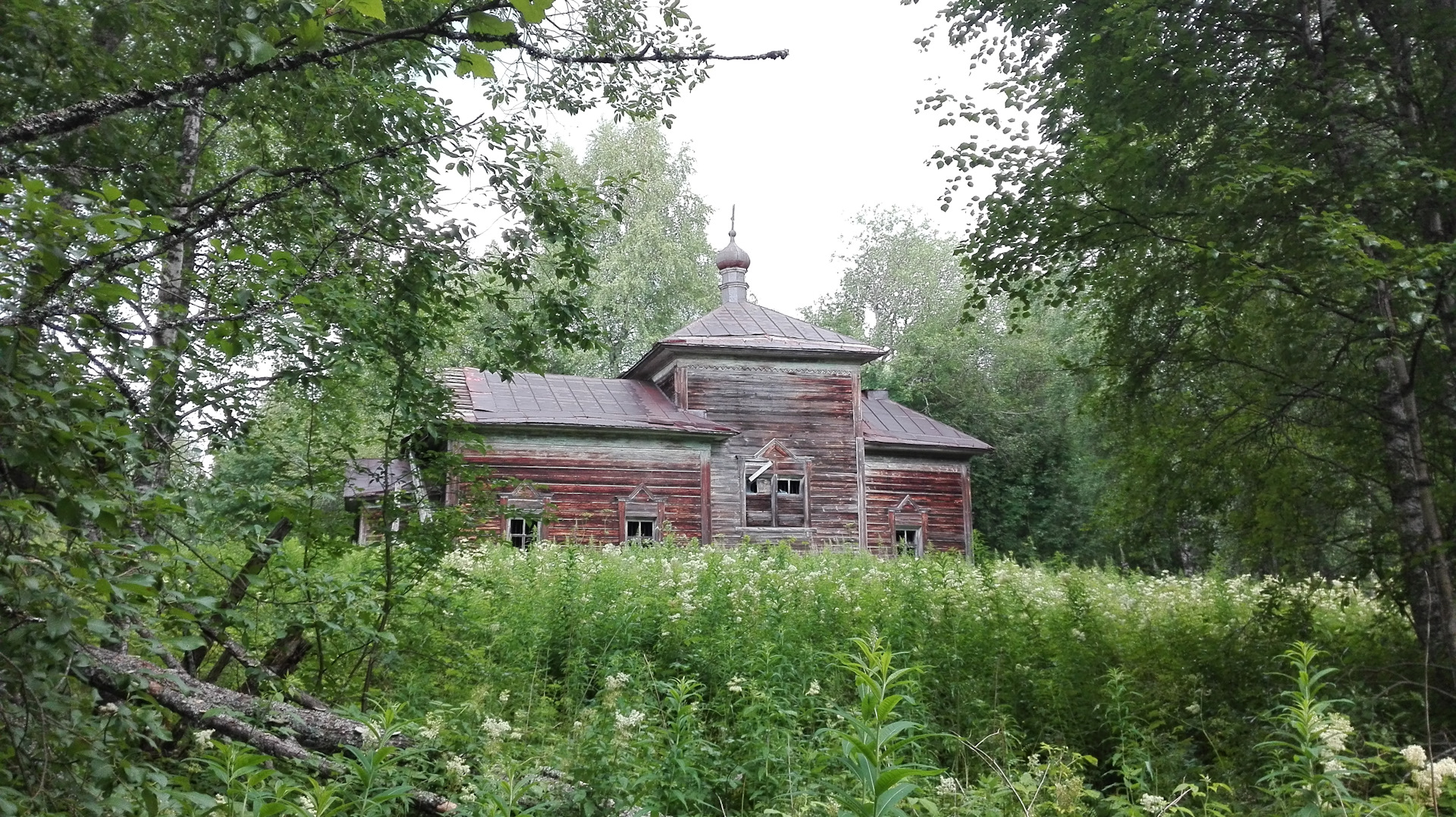 Шимозеро в вологодской области фото