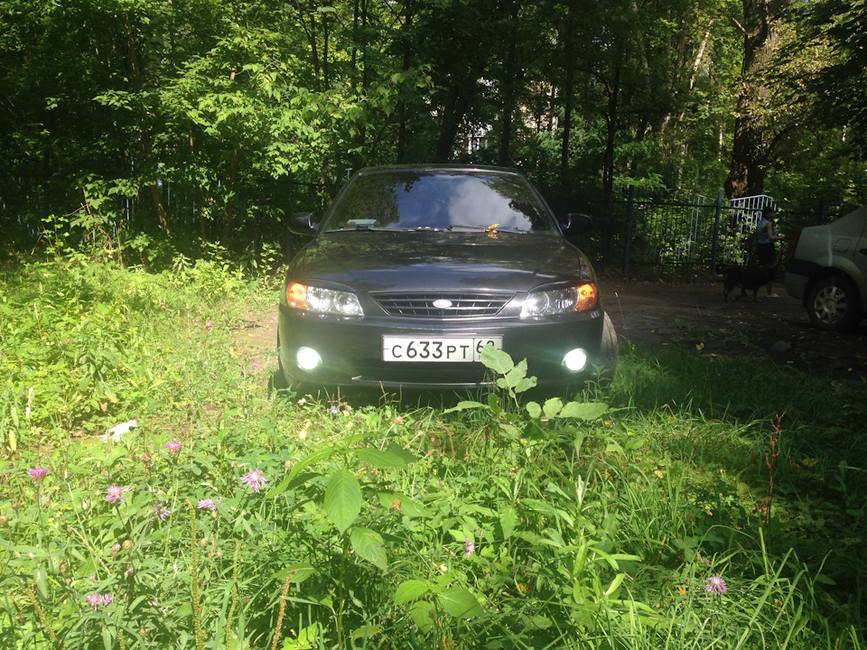 одно-недельный тест драйв восстановленых ПТФ — KIA Spectra, 1,6 л, 2008 ...