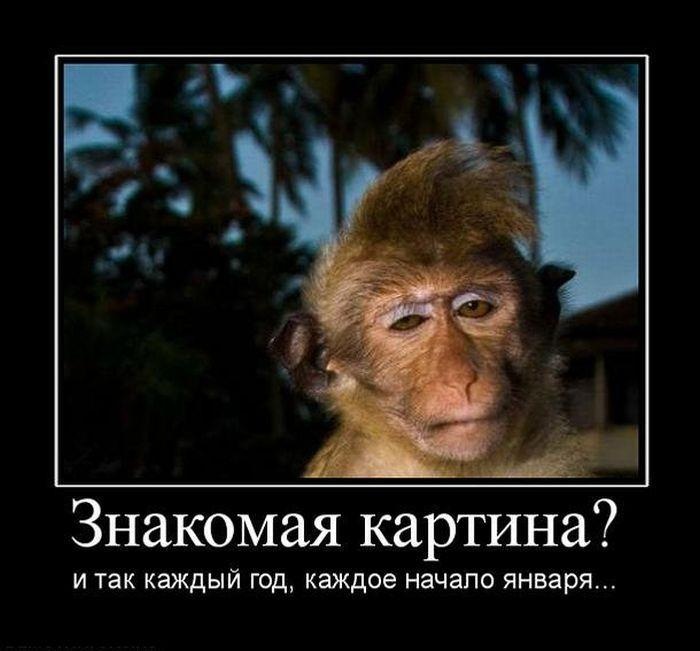 краску смешные картинки про две работы гармоничного