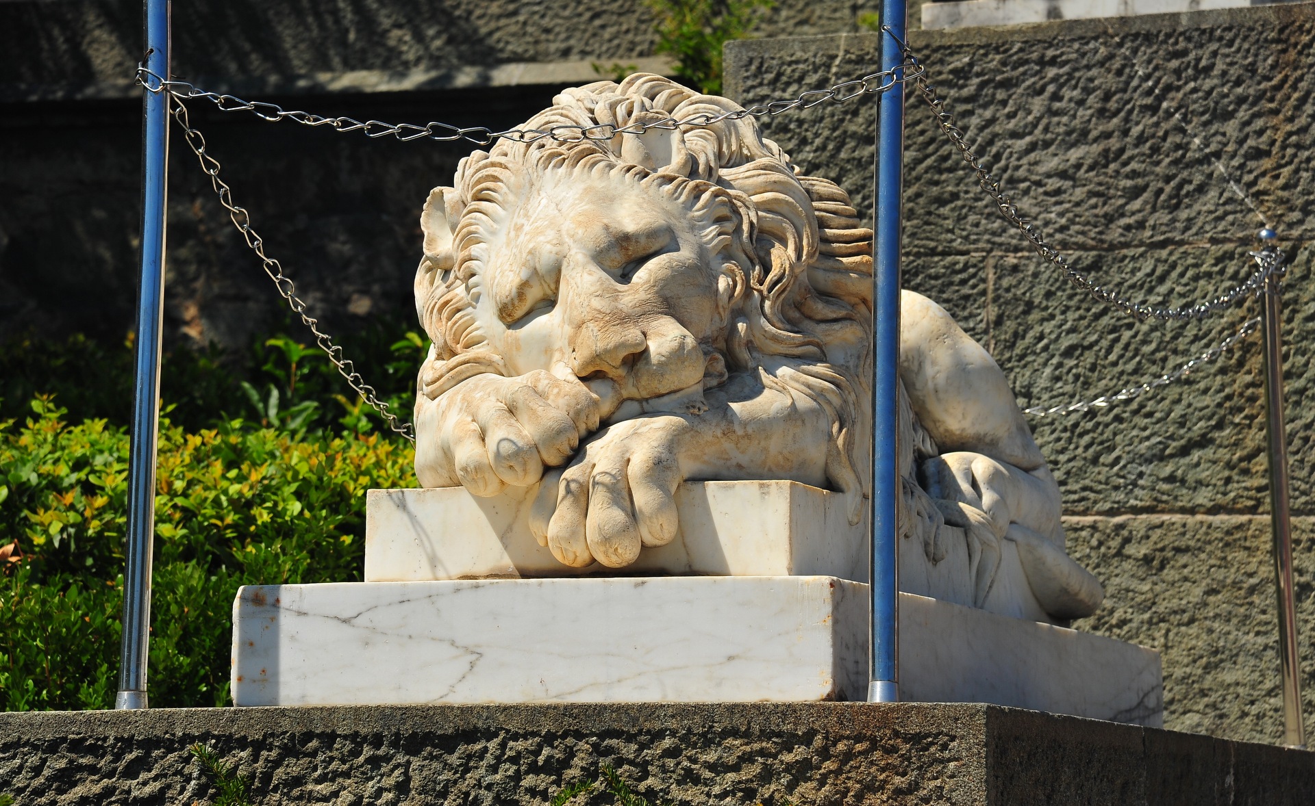 Львы у воронцовского дворца