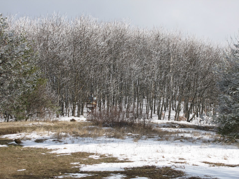 Поездка в Горы!) — Lada 4x4 3D, 1,7 л, 1996 года | путешествие | DRIVE2