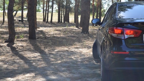 KIA Rio САУ