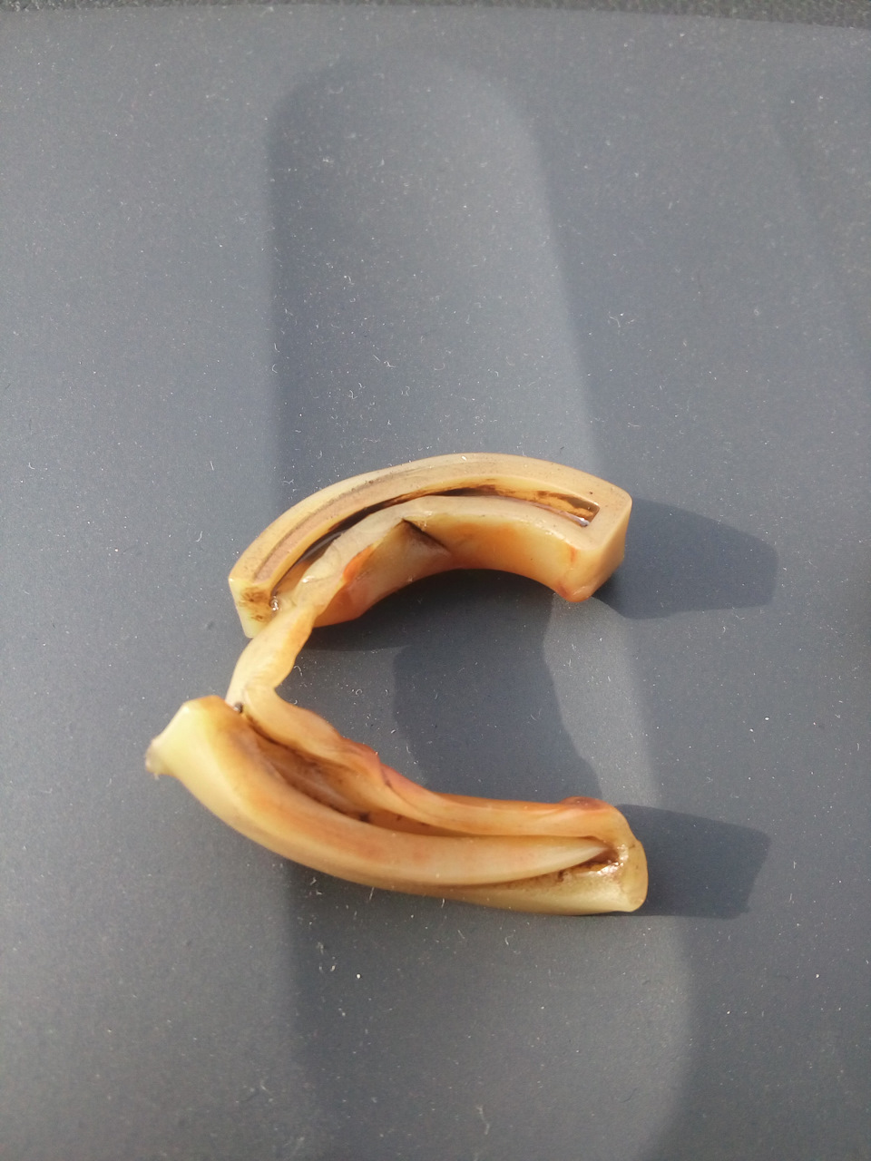 Фото в бортжурнале Ford Fusion