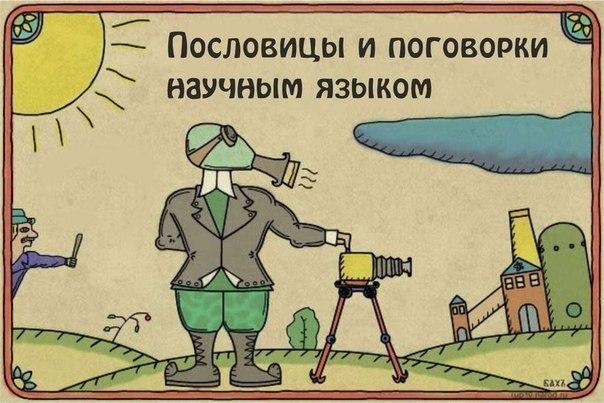 Пословицы смешные картинки