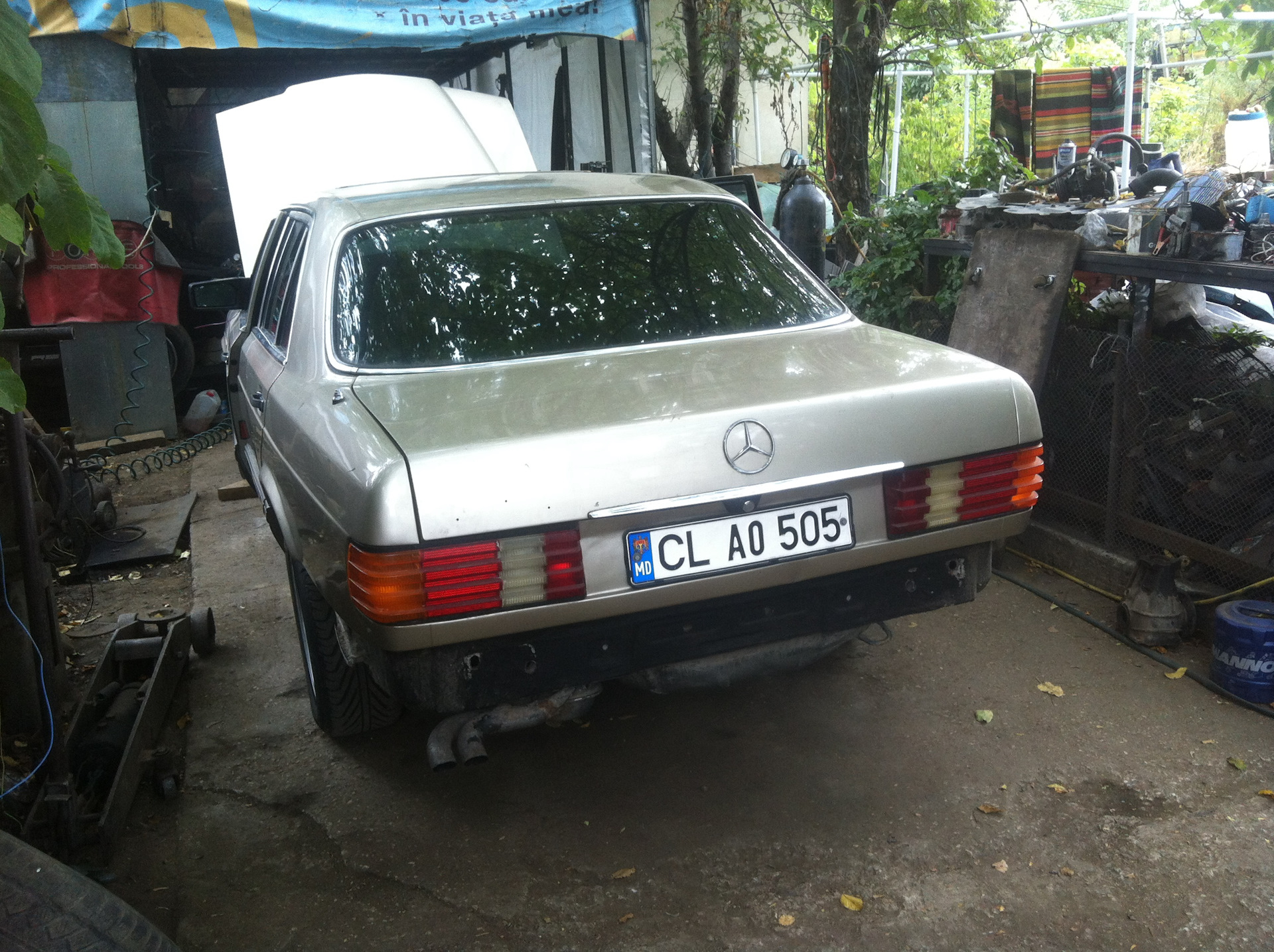 8ce69f9s-1920.jpg