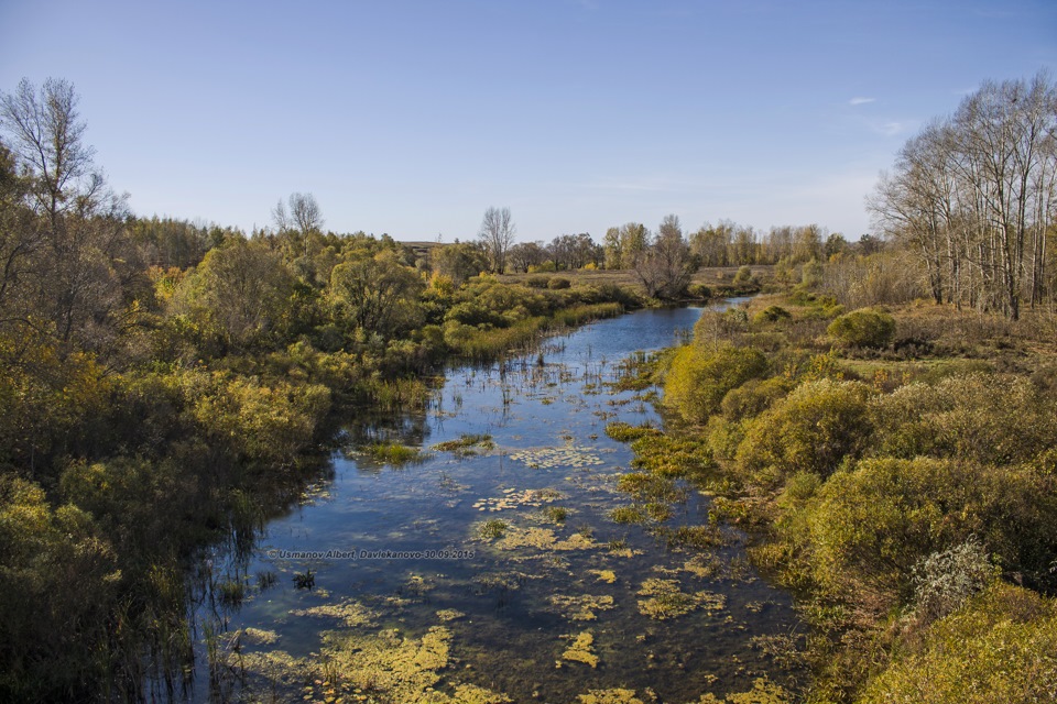 Уровень воды в реке дема