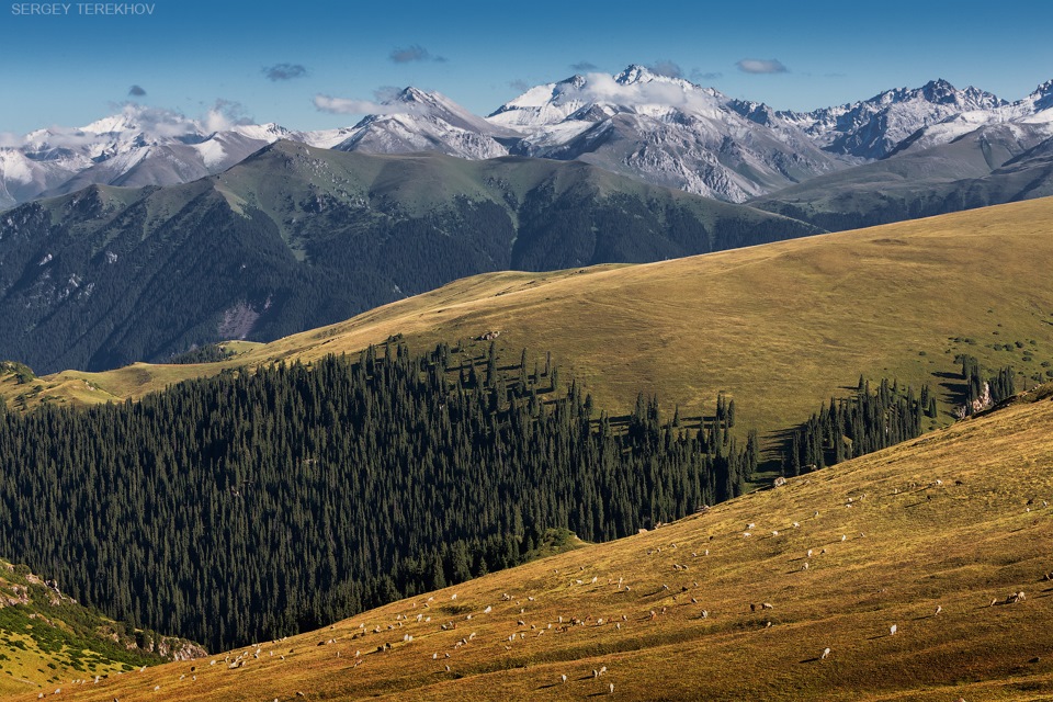 Плато Тянь Шань