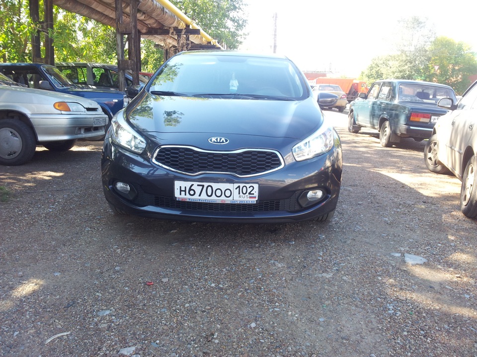 Ксенон — KIA Ceed (2G), 1,6 л, 2012 года | электроника | DRIVE2