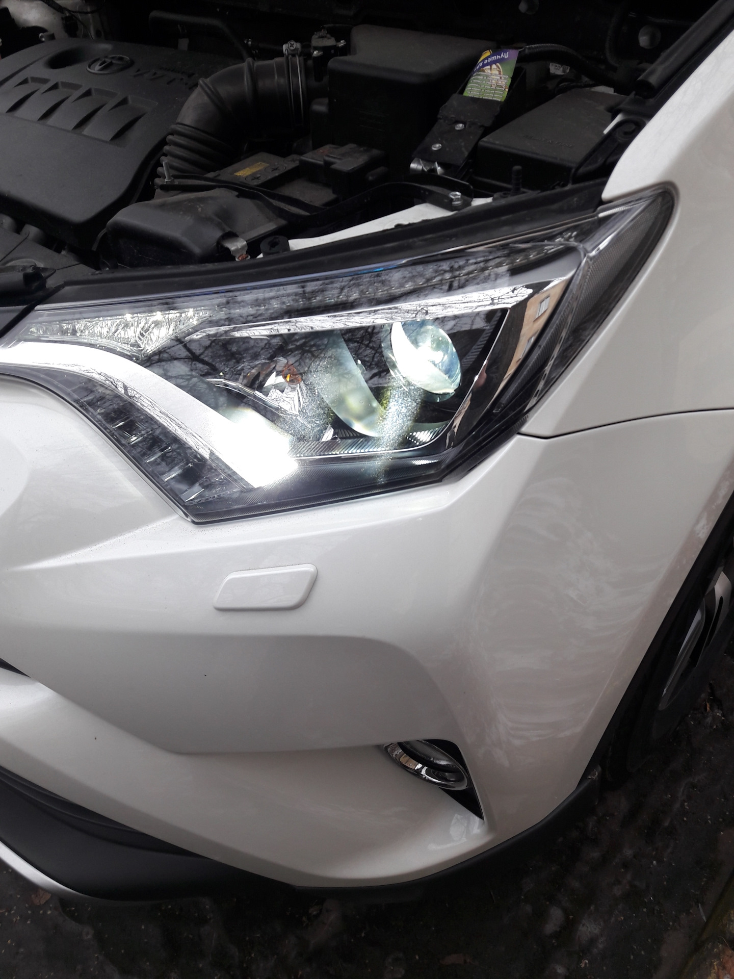 Свет рав 4. Toyota rav4 2014 лампа ближнего света.