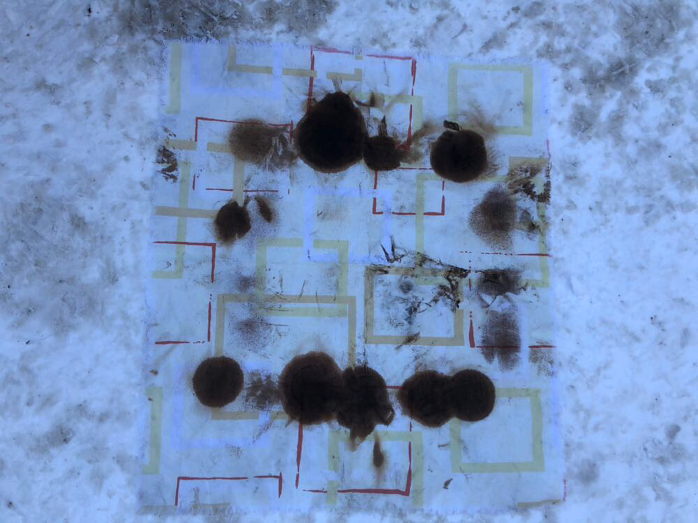 Мягкая раскоксовка — Toyota E120, 1,5 л, 2003 года | плановое ТО | DRIVE2