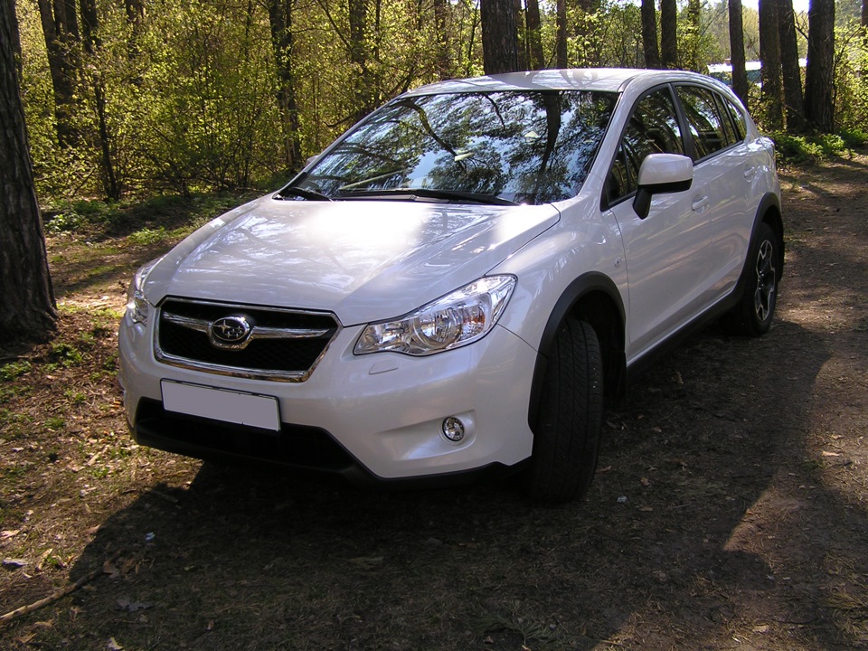 51d краска subaru