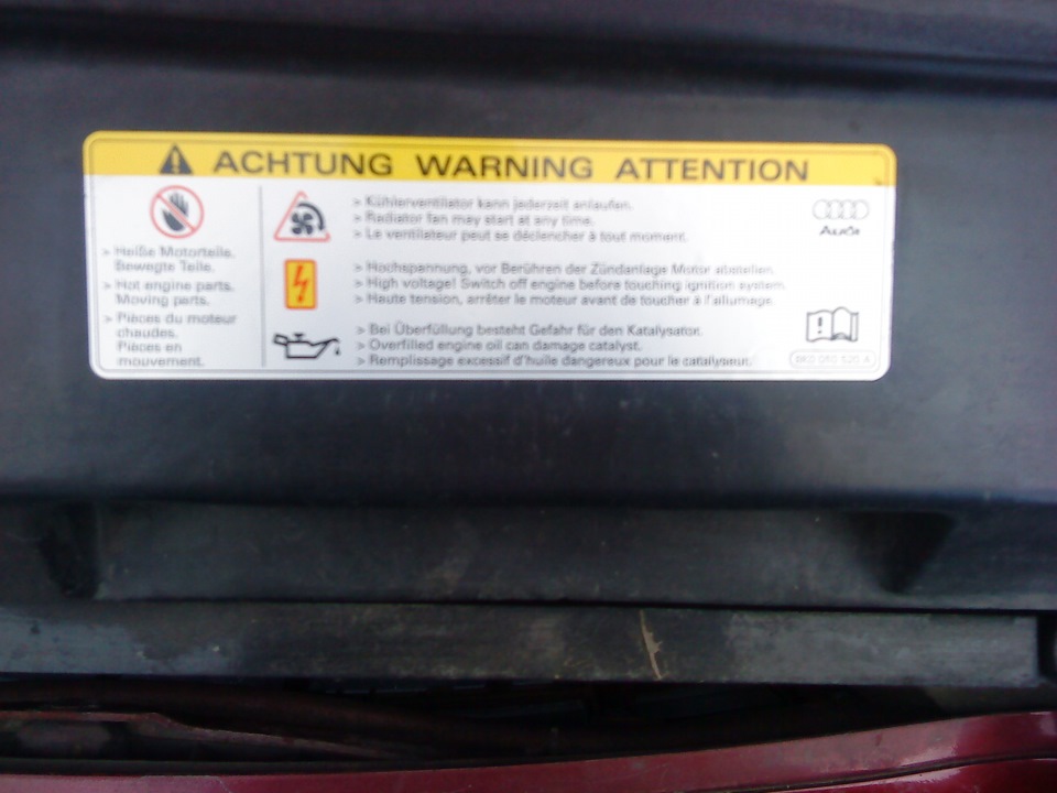 Фото в бортжурнале Audi A4 (B5)