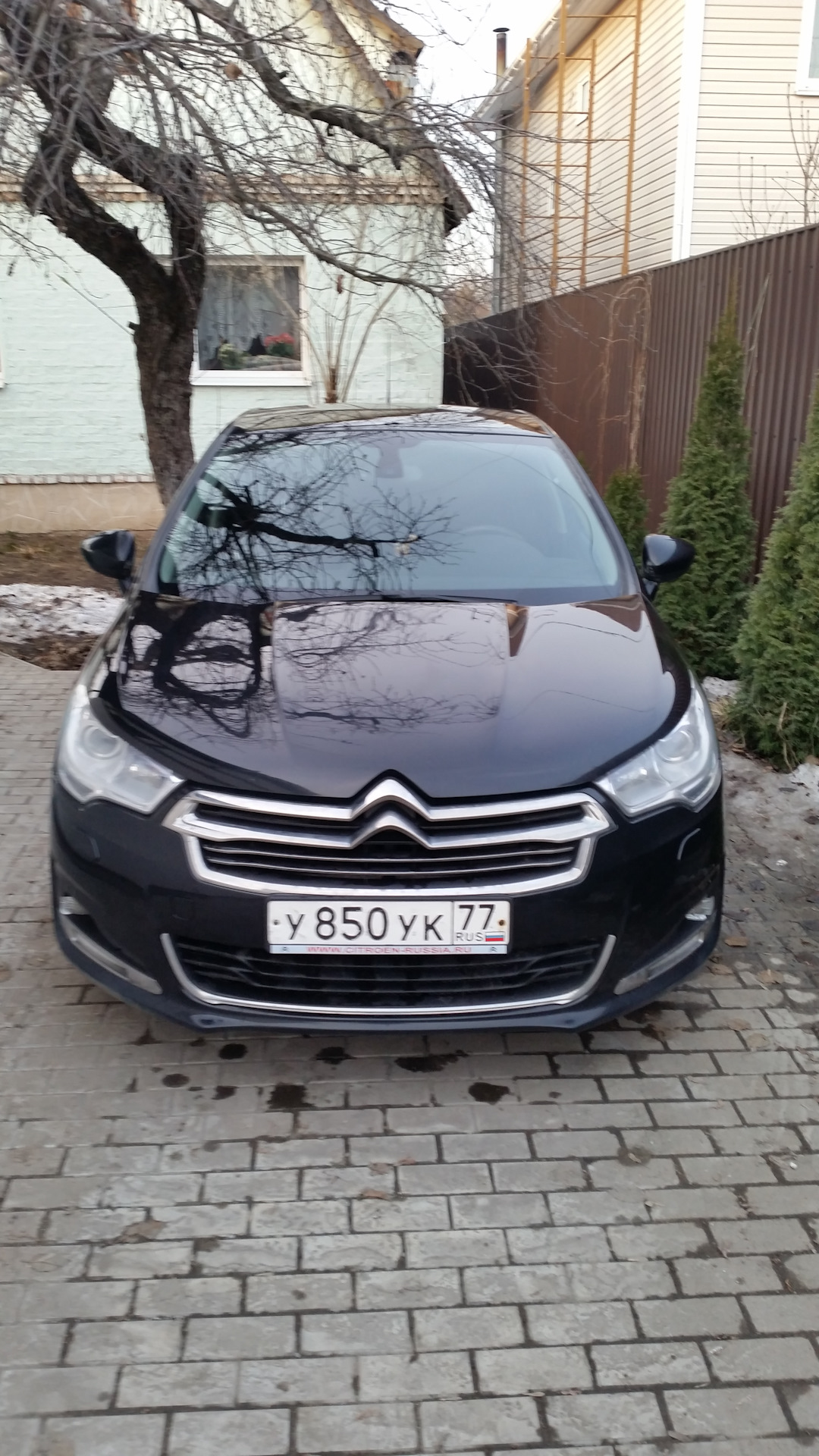 HELP! Масло уходит! — Citroen C4 L, 1,6 л, 2013 года | поломка | DRIVE2