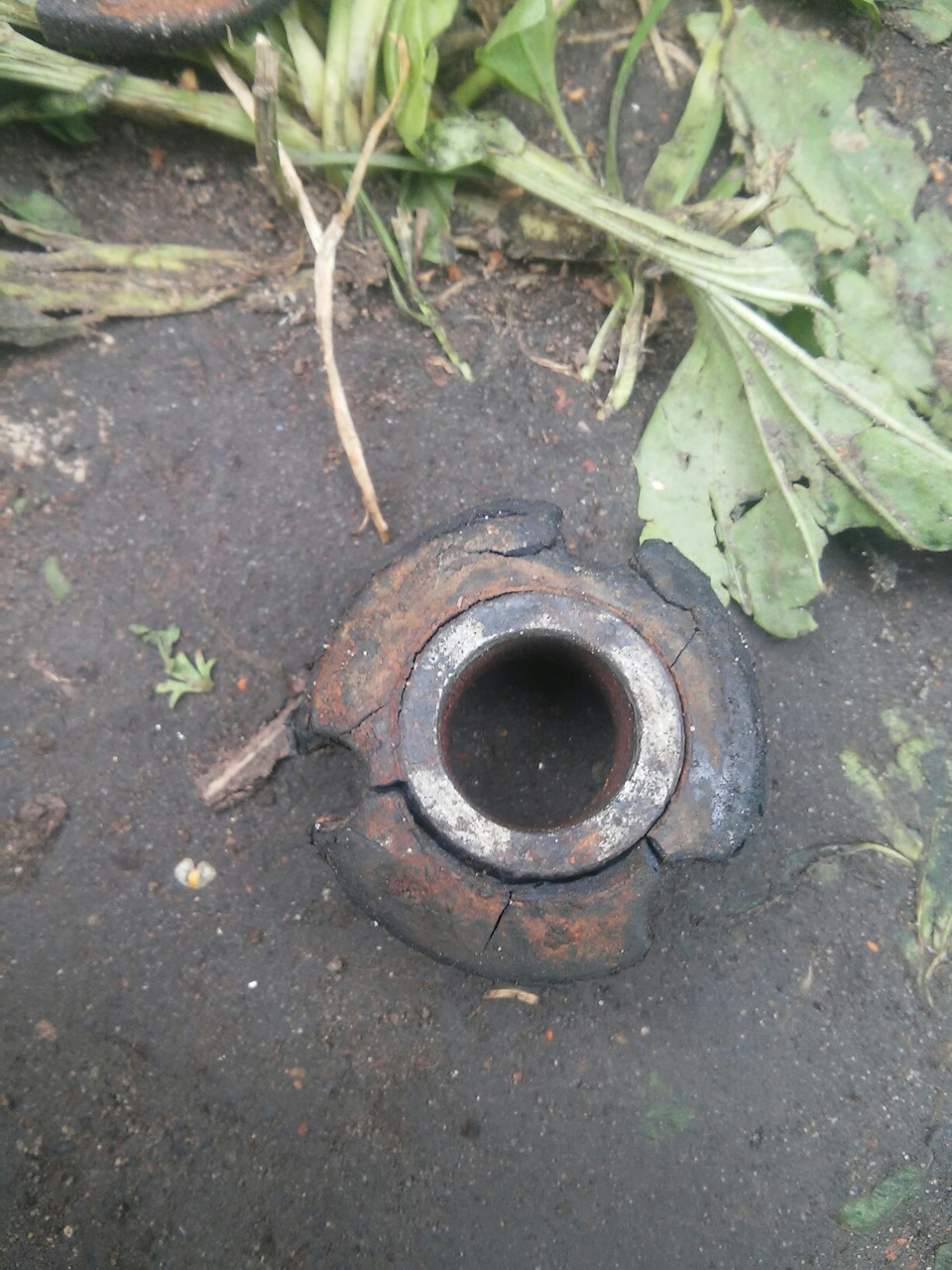 Втулки и ромашки рычагов — Lada Калина седан, 1,6 л, 2006 года ...