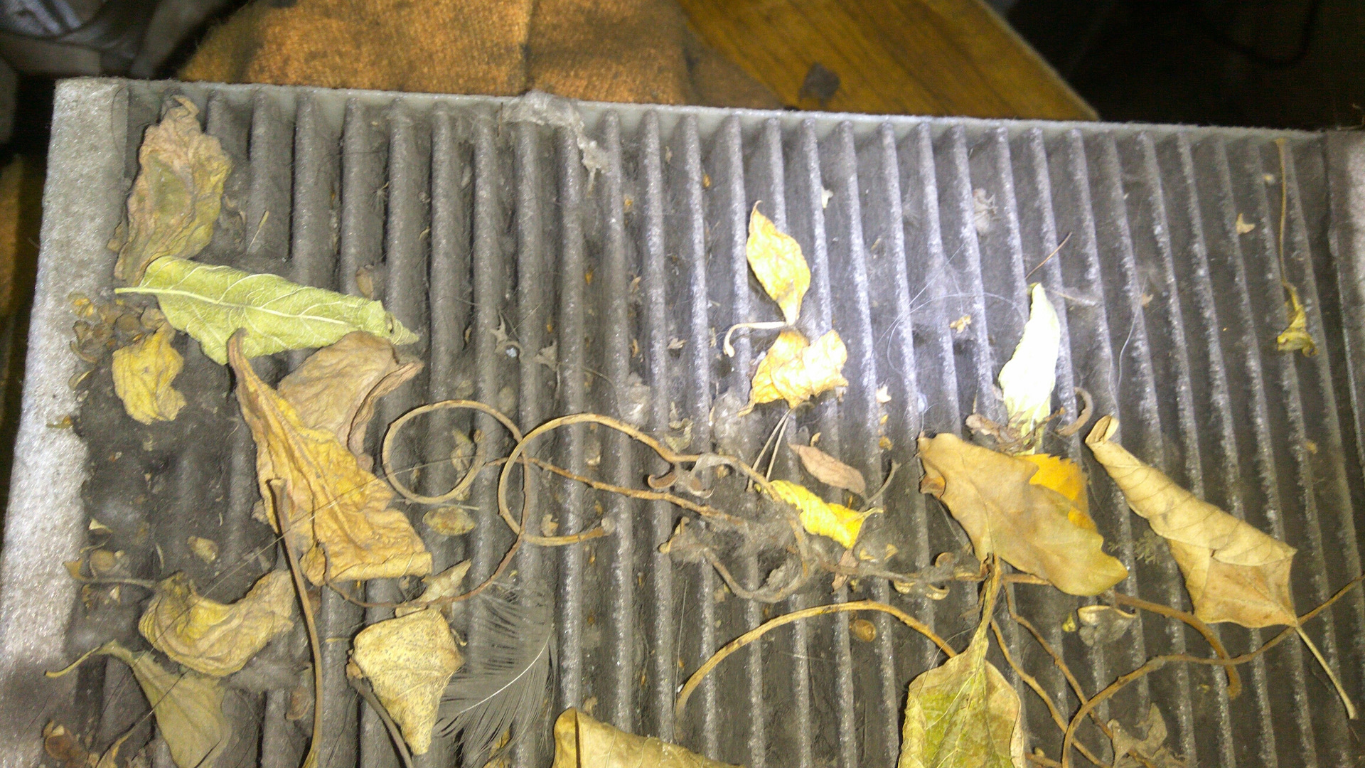 Замена салонного фильтра, подтянул ручник, вторая доливка масла 168474 ...