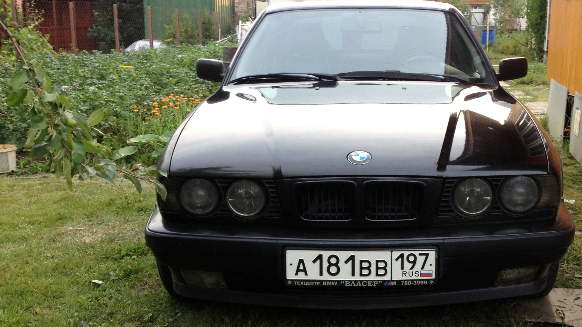 Идеи на тему «BMW E34 Legend in black // БМВ Е34 черный» (62) | автомобили, bmw 5 серии, серии бмв