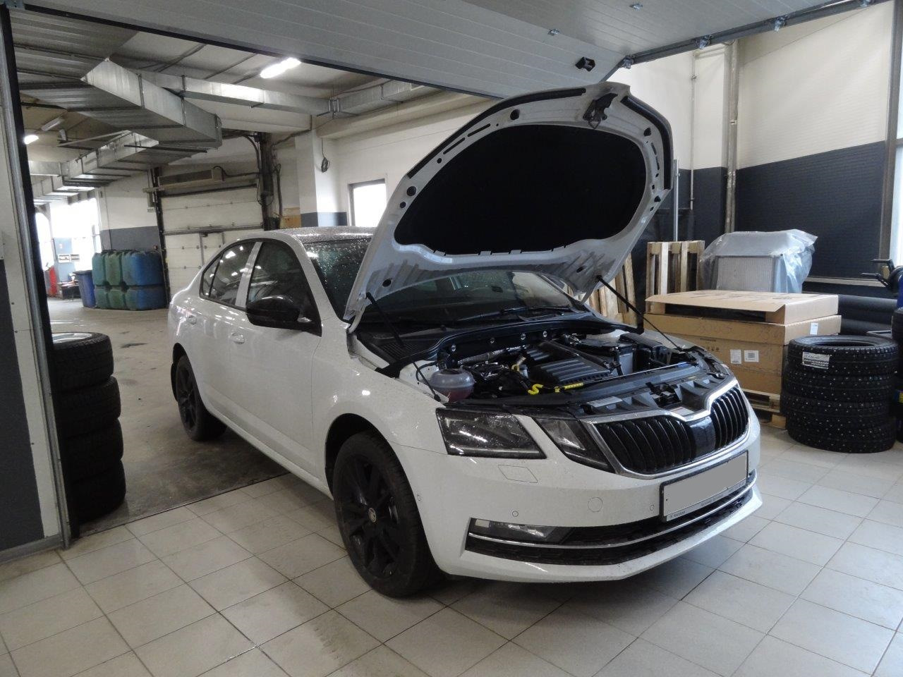 амортизаторы капота skoda octavia a7