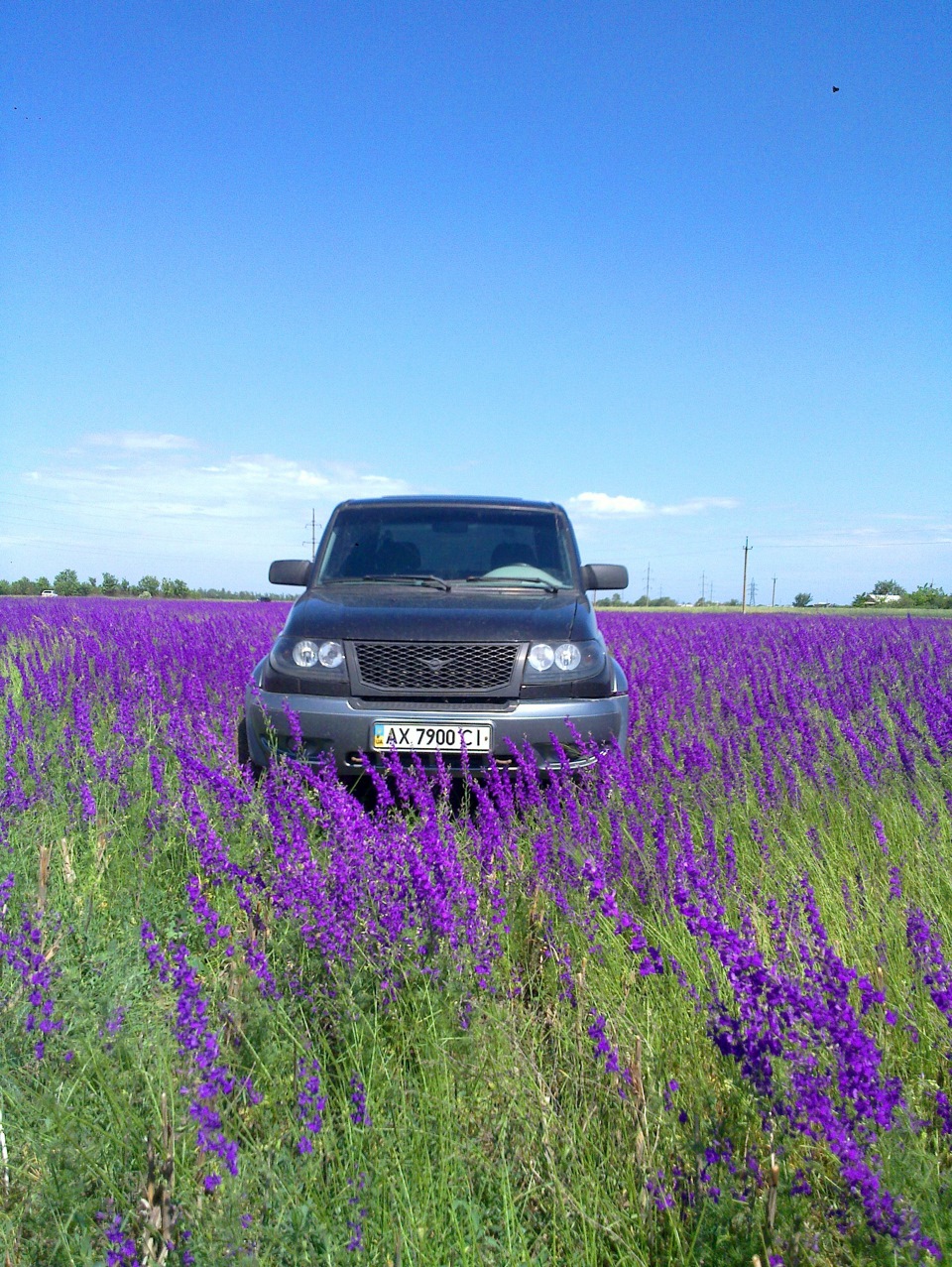 Первый OFFROAD — УАЗ Pickup, 2,7 л, 2008 года | путешествие | DRIVE2