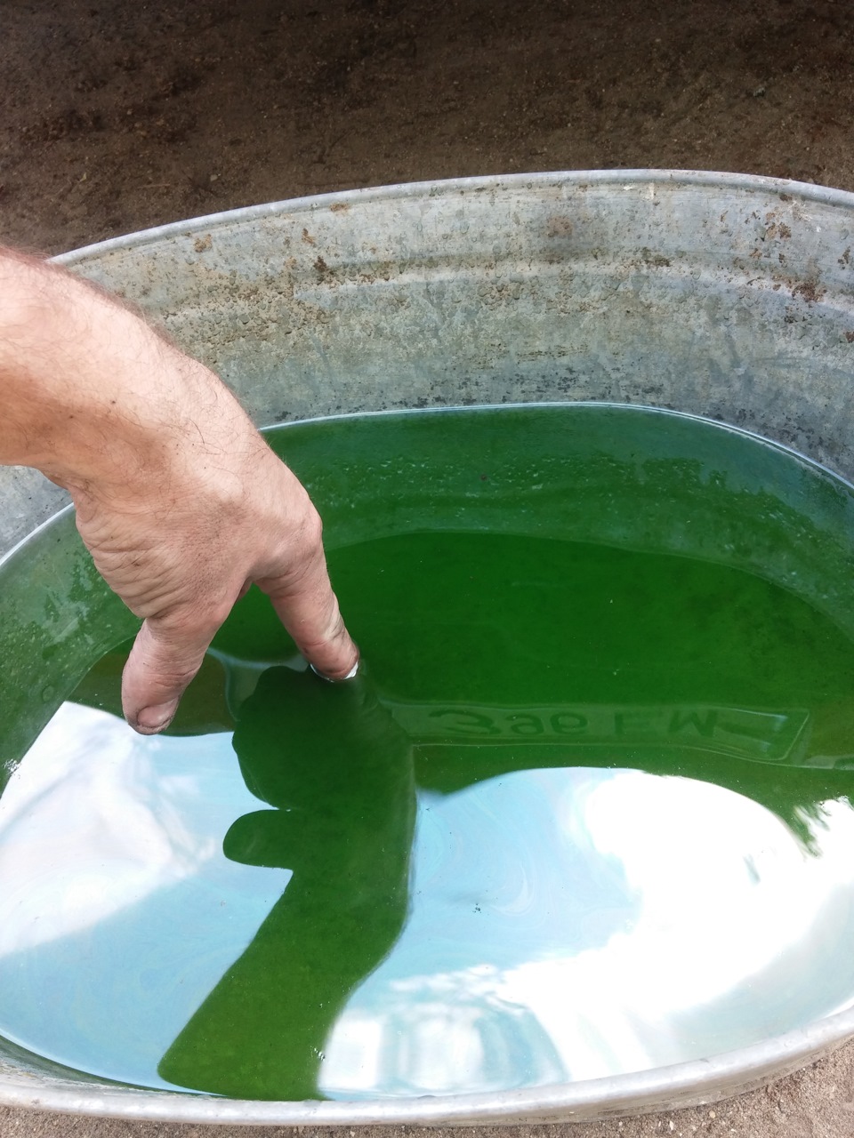 вот сколько натекло — Ford Mondeo III