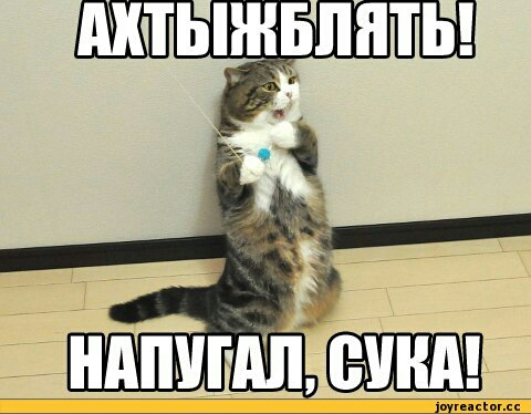 Мемы про маты