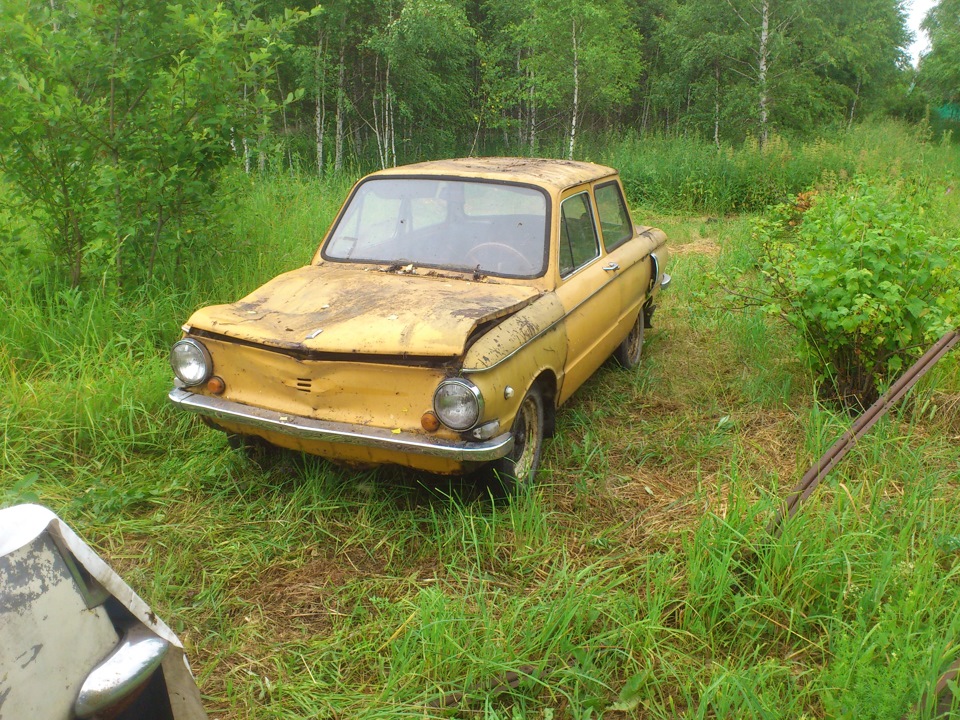 Миссия "Сыроежка": квест выполнен. — УАЗ 315195 Hunter, 2,7 л, 2011 ...