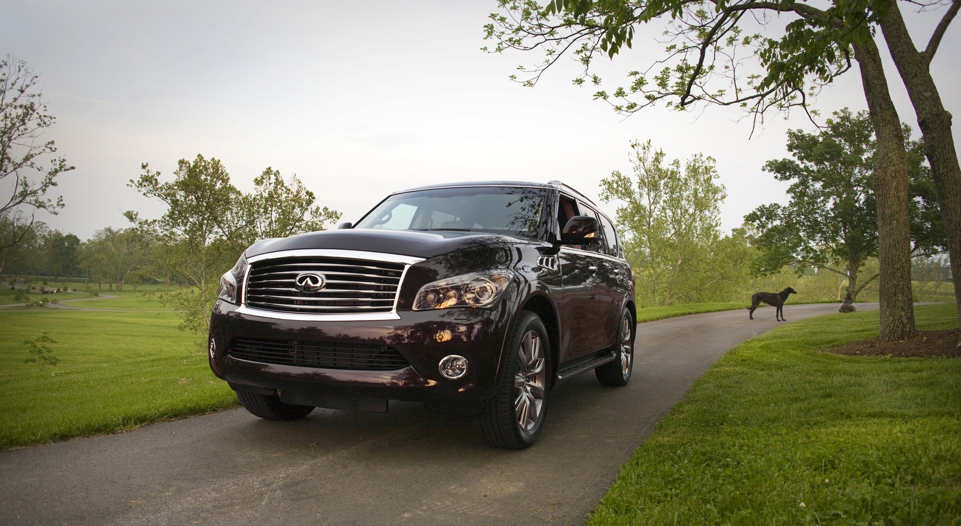 Infiniti qx56